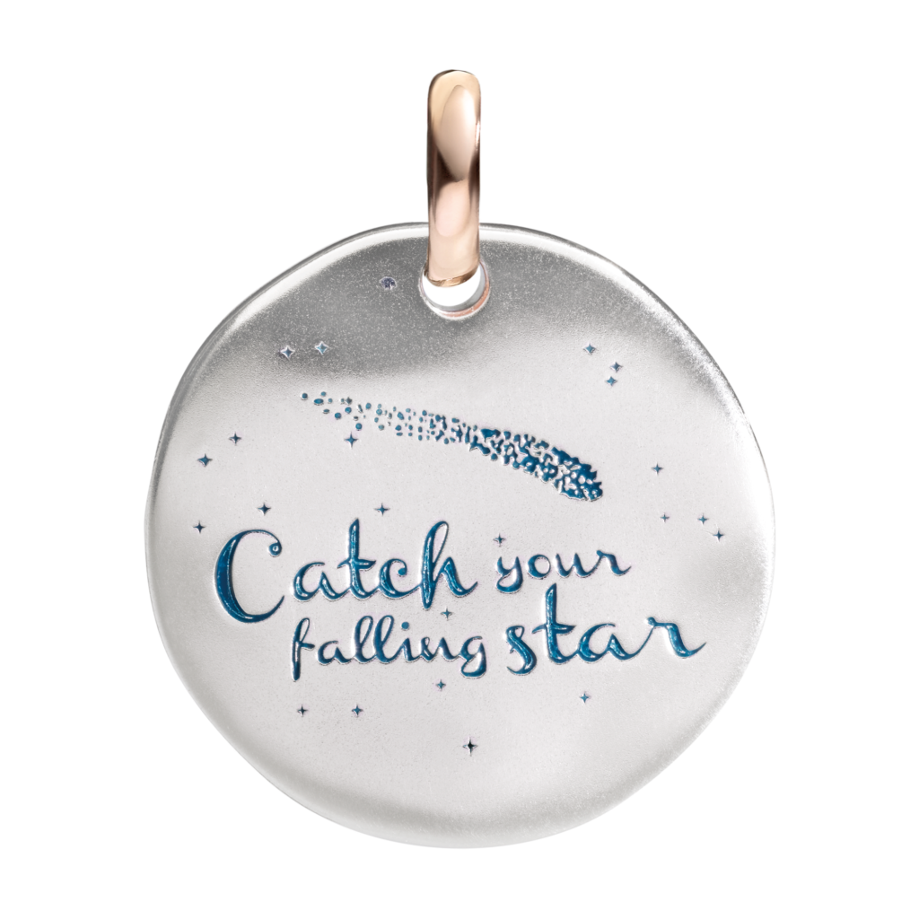 CATCH YOUR FALLING STAR
